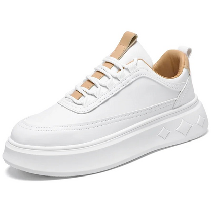 DNSTY™ | Star Trainers