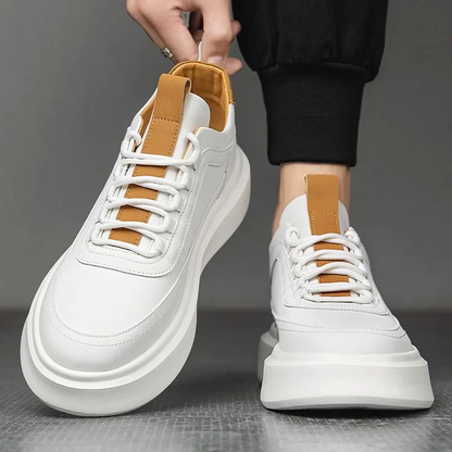 DNSTY™ | Star Trainers